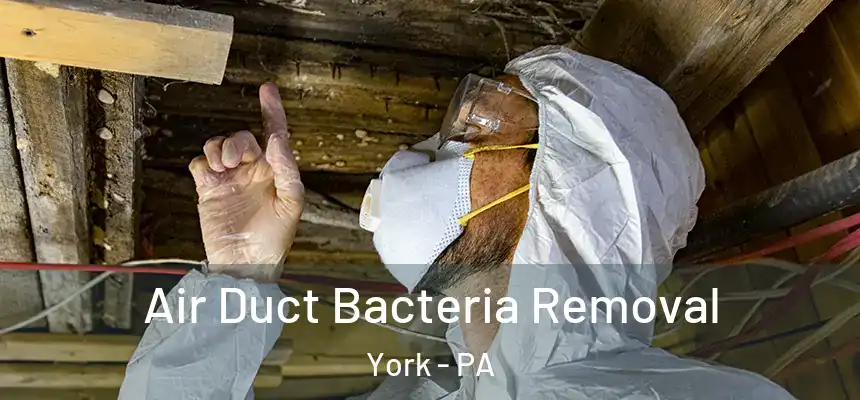  Air Duct Bacteria Removal York - PA