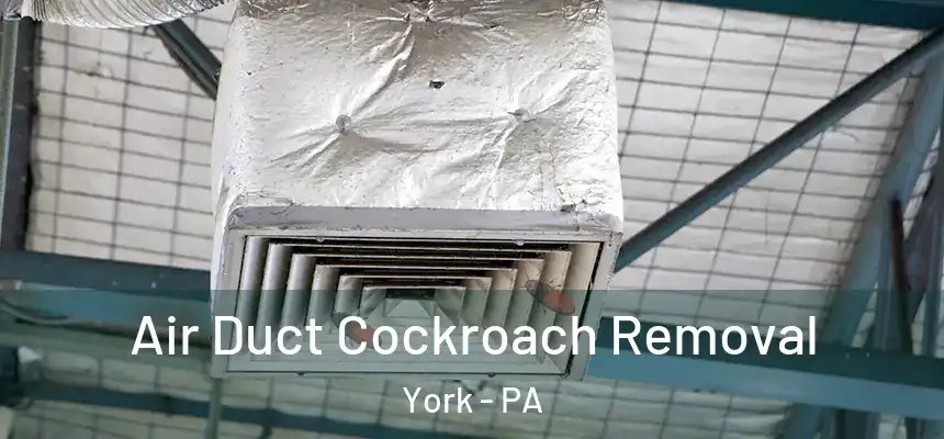  Air Duct Cockroach Removal York - PA