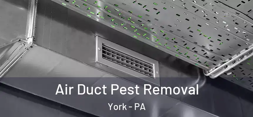 Air Duct Pest Removal York - PA