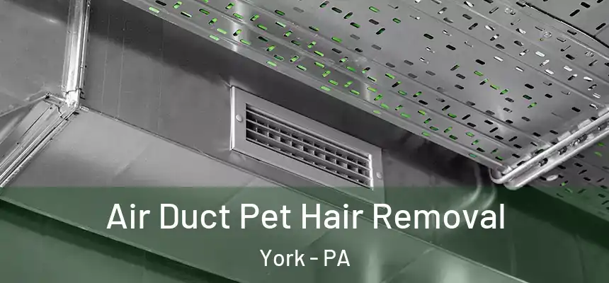  Air Duct Pet Hair Removal York - PA