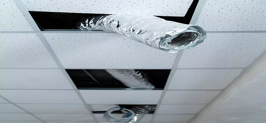 Affordable HVAC Sanitizing After Pest Removal in York