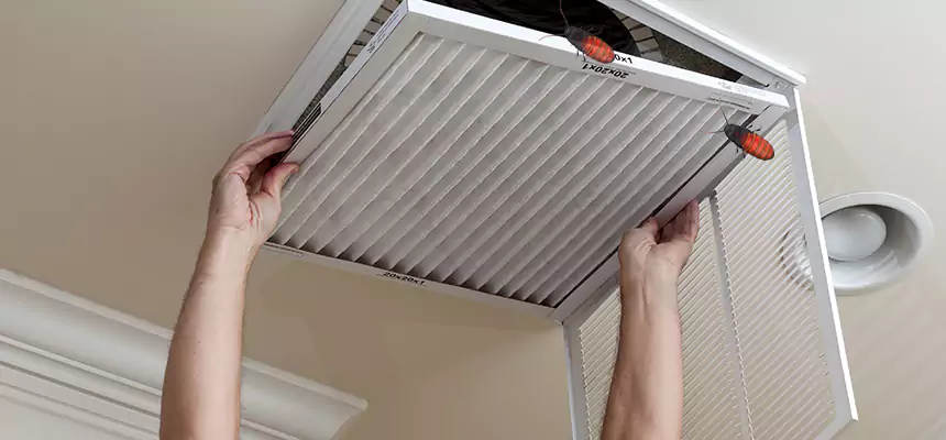 Our Insect Removal from Air Ducts Services in York, PA