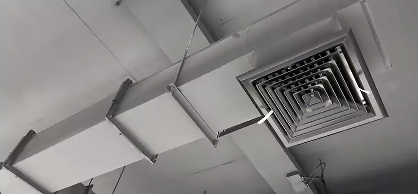 Our Rodent Droppings In Vents Services in York, PA