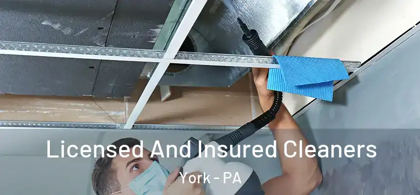  Licensed And Insured Cleaners York - PA