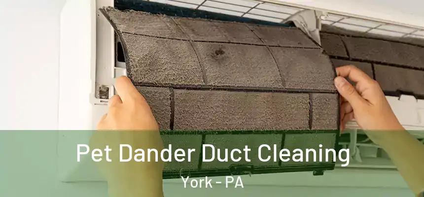 Pet Dander Duct Cleaning York - PA