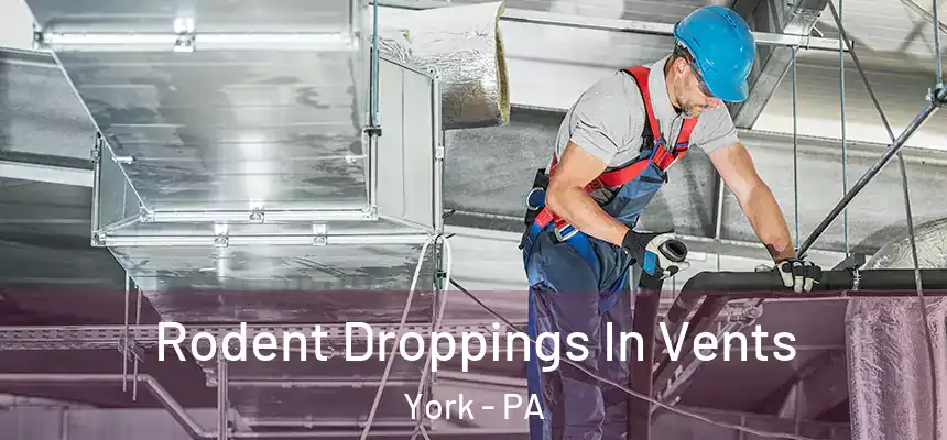  Rodent Droppings In Vents York - PA
