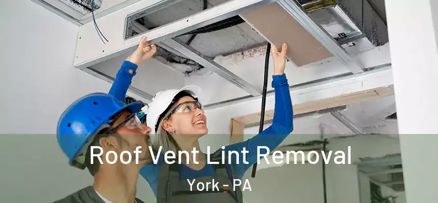  Roof Vent Lint Removal York - PA