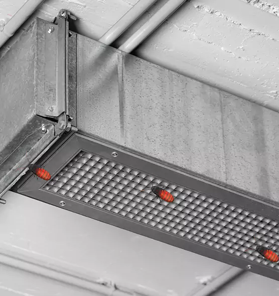 About Air Duct Cockroach Removal in York, PA