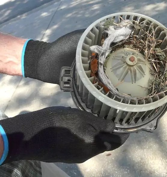 About Air Duct Mice Removal in York, PA