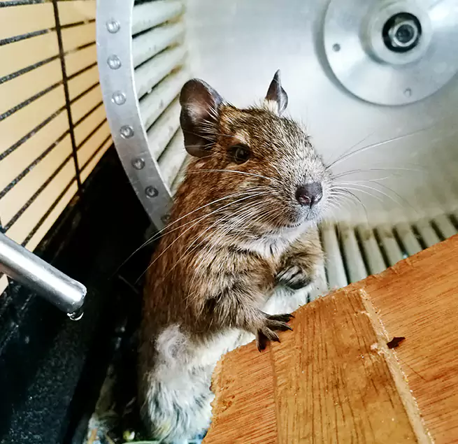 Why Homeowners & Businesses Trust Us York, PA